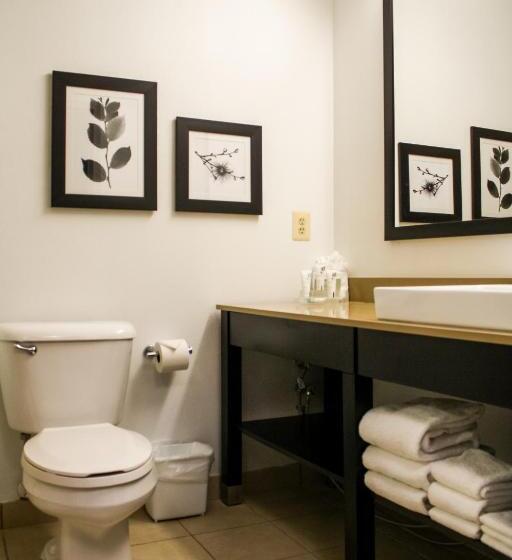 Стандартный Номер Кровать Кинг, Country Inn & Suites By Radisson, Washington Dulles International Airport, Va