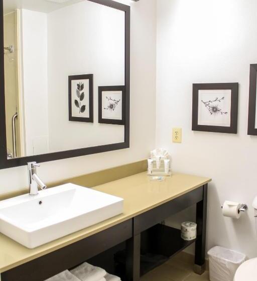스탠다드 룸 킹사이즈 침대, Country Inn & Suites By Radisson, Washington Dulles International Airport, Va