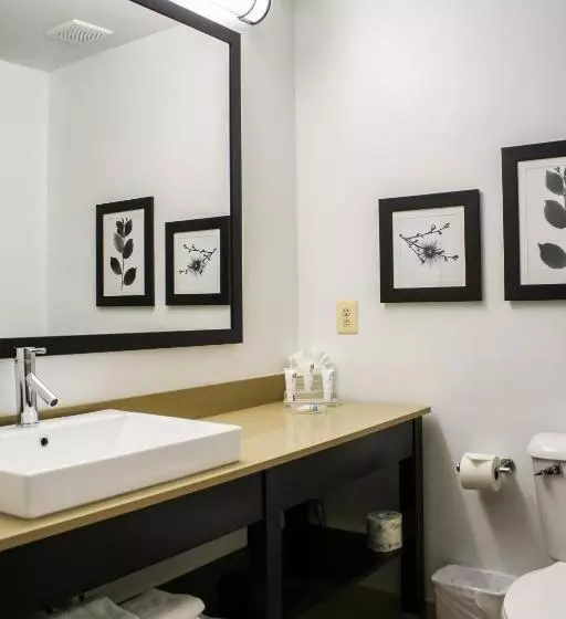 سوئیت با تخت بزرگ, Country Inn & Suites By Radisson, Washington Dulles International Airport, Va