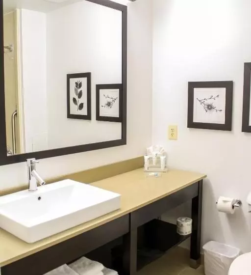 اتاق استاندارد, Country Inn & Suites By Radisson, Washington Dulles International Airport, Va