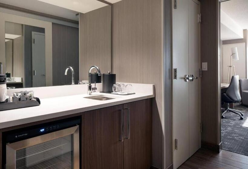 스탠다드 룸 킹사이즈 침대, Courtyard Denver Airport At Gateway Park