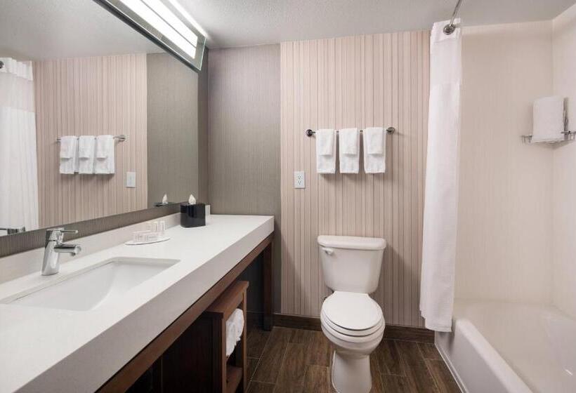 장애인을 위한 스위트, Courtyard Denver Airport At Gateway Park