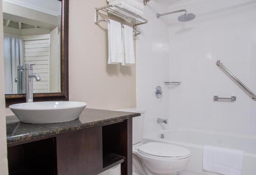 اتاق استاندارد, Hillview At Mystic Ridge