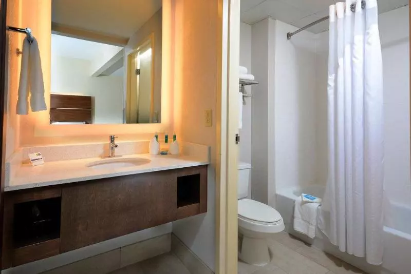 身障者適用スイートルーム, Holiday Inn Express & Suites Raleigh Durham Airport At Rtp, An Ihg
