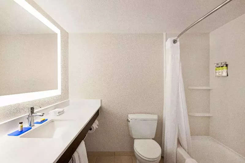 キングサイズベッドのスイートルーム, Holiday Inn Express & Suites Sarasota East, An Ihg
