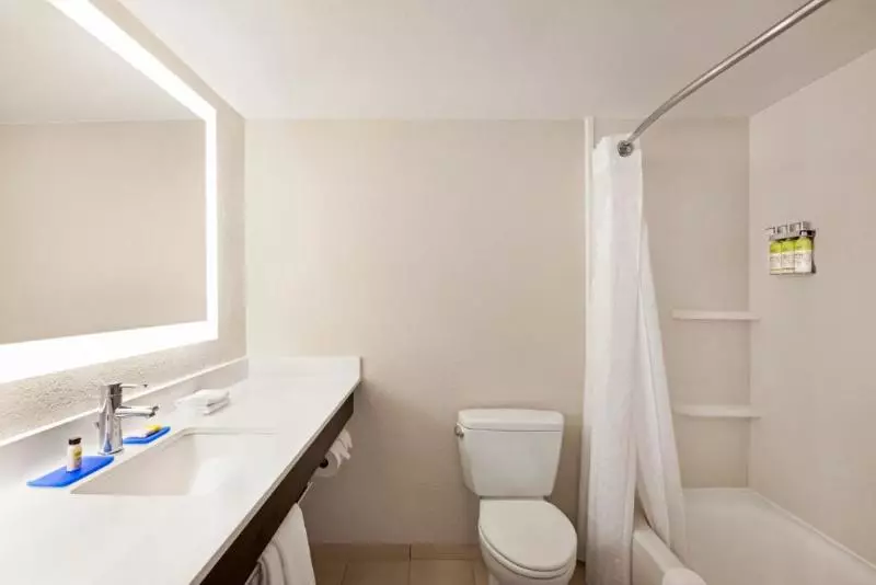 身障者適用キングサイズベッドルーム, Holiday Inn Express & Suites Sarasota East, An Ihg