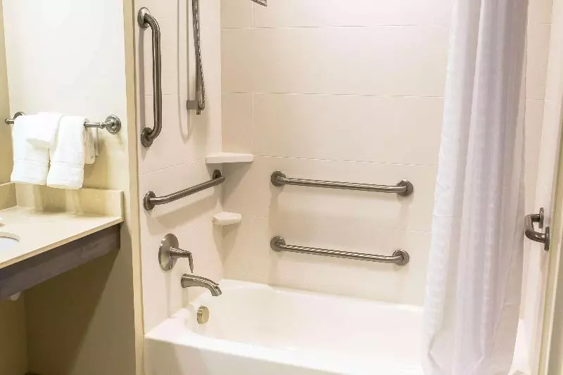キングサイズベッドのスタンダードルーム, Holiday Inn Express & Suites Sarasota East, An Ihg