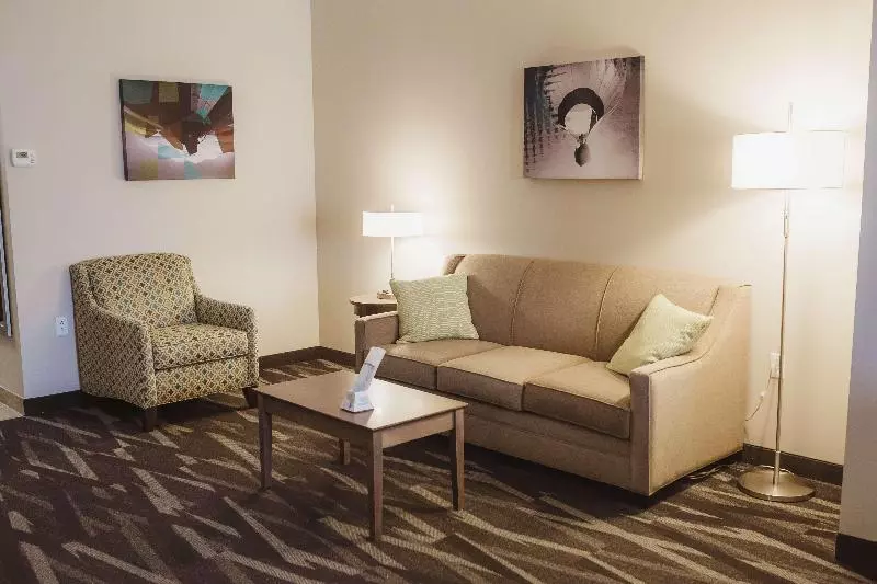 キングサイズベッドのスタンダードルーム, Holiday Inn Express & Suites Sarasota East, An Ihg