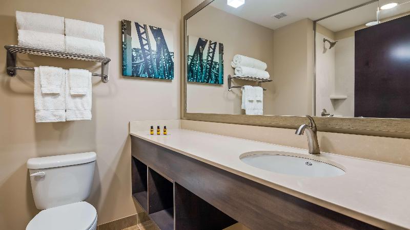 غرفة قياسية سرير كينج, Holiday Inn Express & Suites Sarasota East, An Ihg