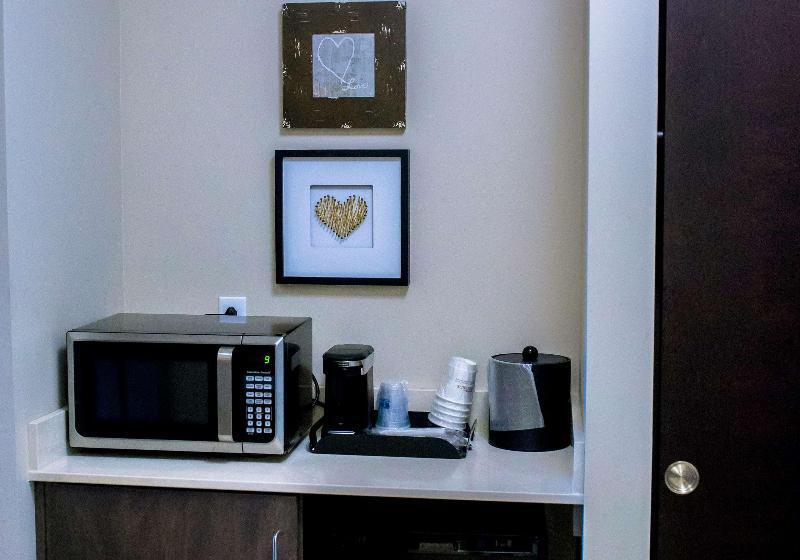 غرفة قياسية سرير كينج, Holiday Inn Express & Suites Sarasota East, An Ihg