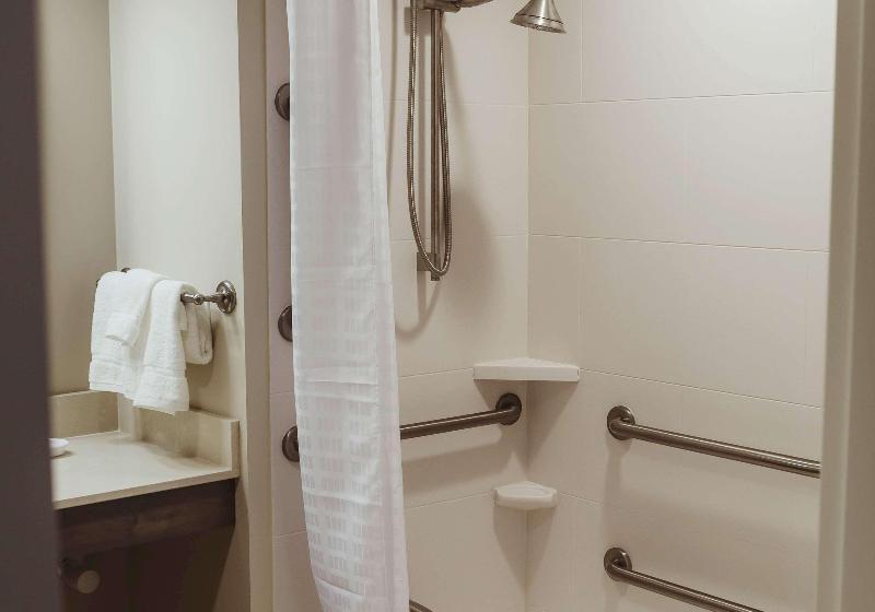 غرفة قياسية سرير كينج, Holiday Inn Express & Suites Sarasota East, An Ihg