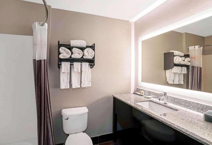 标准间, La Quinta By Wyndham Lebanon