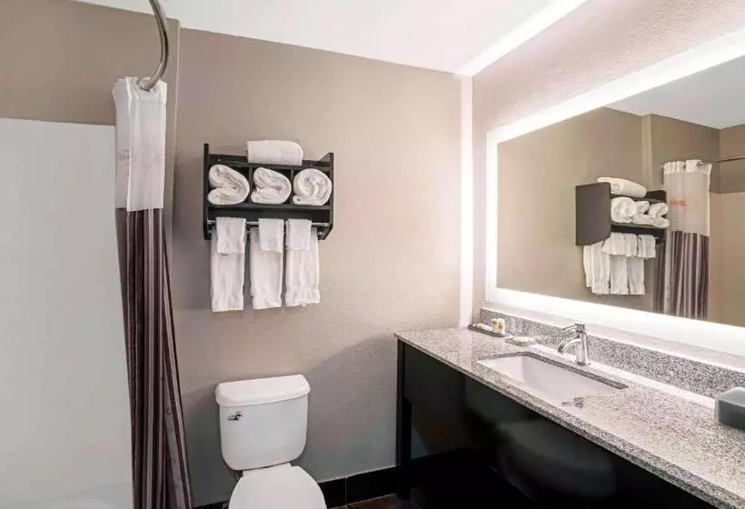 キングサイズベッドのスイートルーム, La Quinta By Wyndham Lebanon