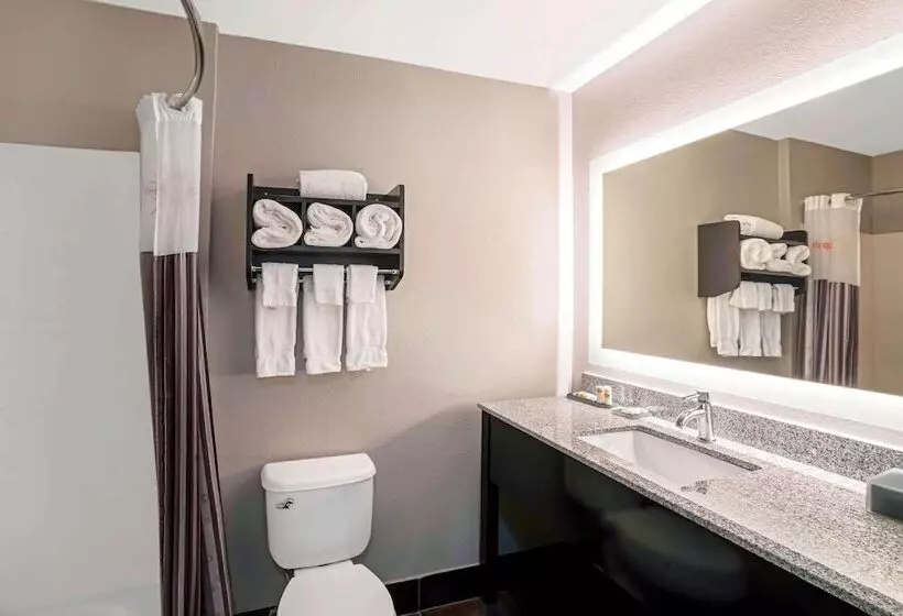 ２ベッドスイートルーム, La Quinta By Wyndham Lebanon