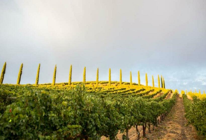 침실 2개 주택, Aterno Vineyard, Guest House