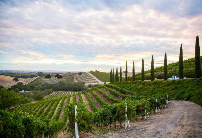 منزل غرفتين نوم, Aterno Vineyard, Guest House