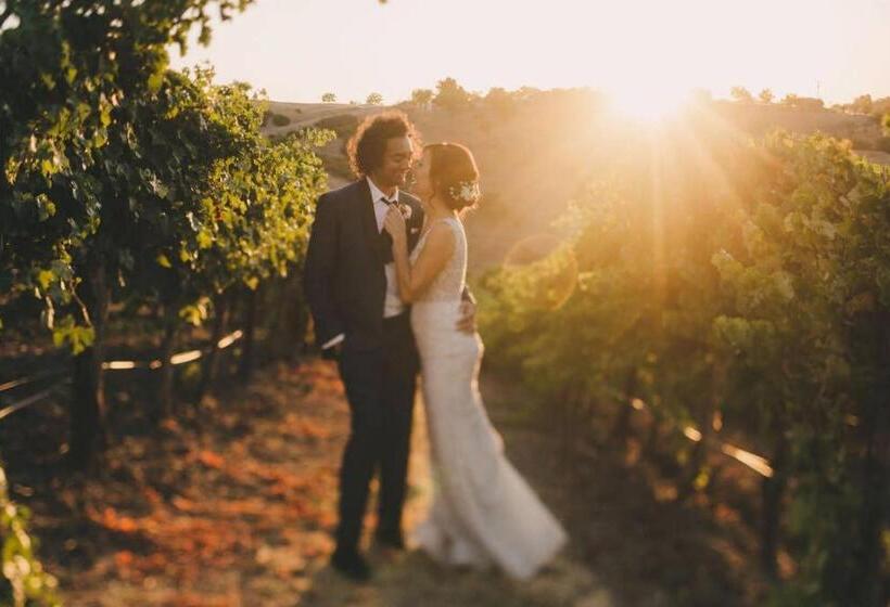 منزل غرفتين نوم, Aterno Vineyard, Guest House