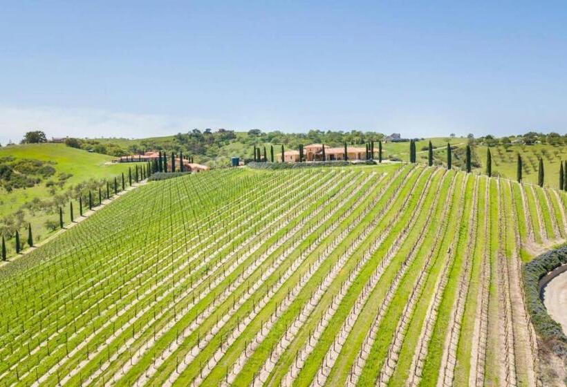 منزل غرفتين نوم, Aterno Vineyard, Guest House