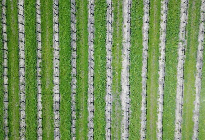 منزل غرفتين نوم, Aterno Vineyard, Guest House