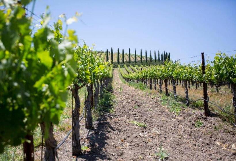 منزل غرفتين نوم, Aterno Vineyard, Guest House