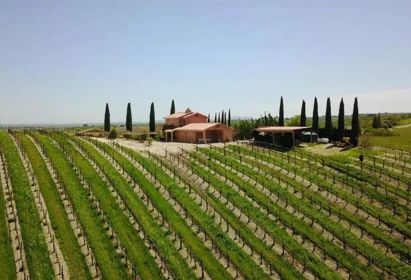 2ベッドルームハウス, Aterno Vineyard, Guest House