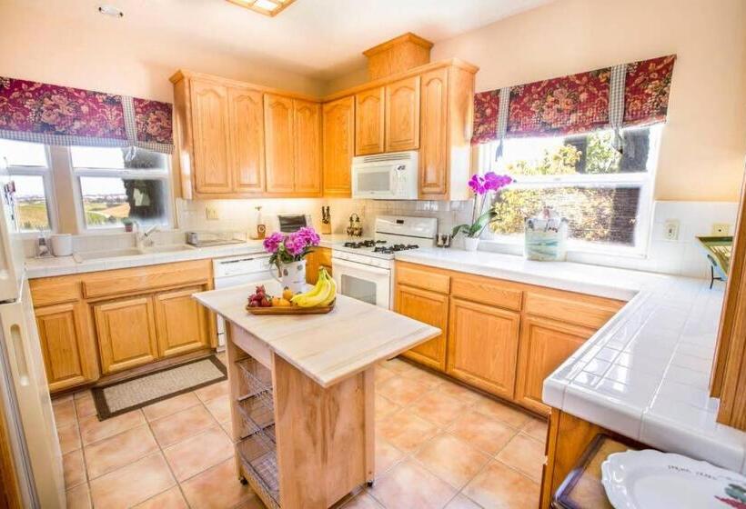 منزل غرفتين نوم, Aterno Vineyard, Guest House