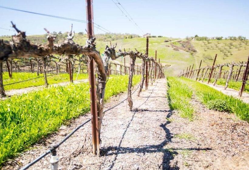 منزل غرفتين نوم, Aterno Vineyard, Guest House