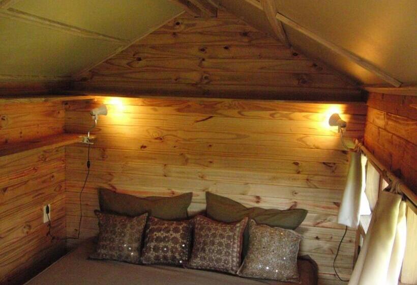 标准房带园景, La Isla Ostende