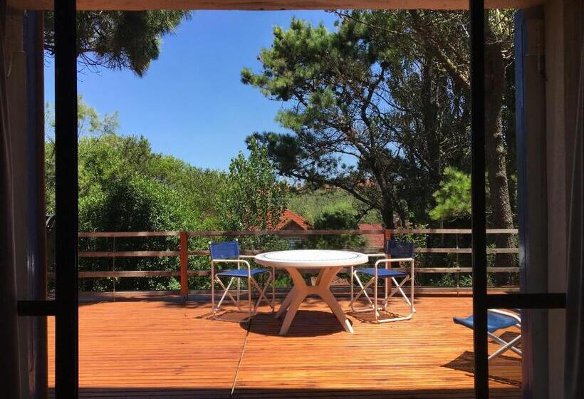 豪华房间, La Isla Ostende