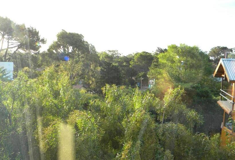 带花园景观及2个卧室的公寓, La Isla Ostende