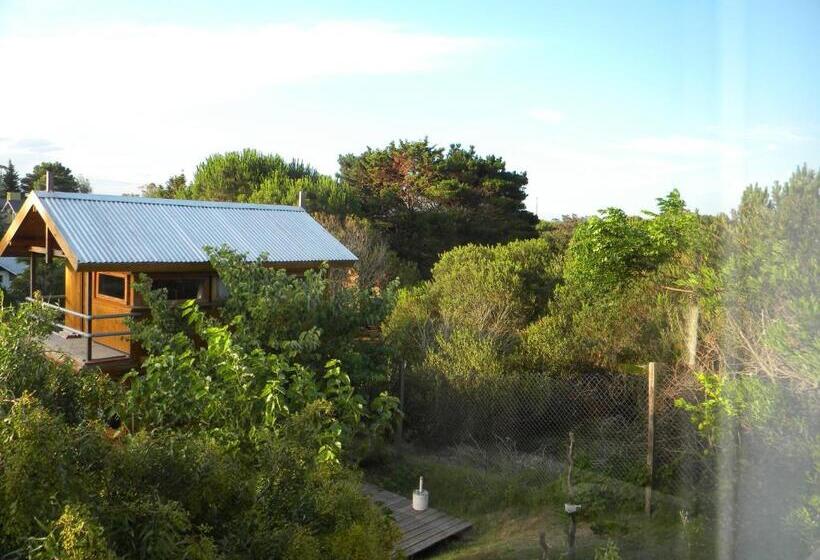 带花园景观及2个卧室的公寓, La Isla Ostende