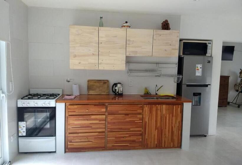 低层单卧公寓, La Isla Ostende