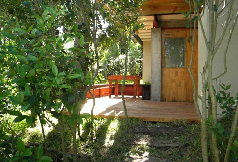 带1个卧室的公寓, La Isla Ostende