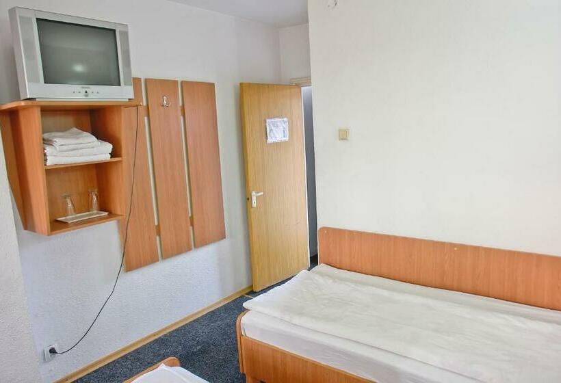 标准单人间, Motel Dacia