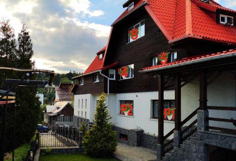 חדר בסיסי, Villa Elitte Predeal