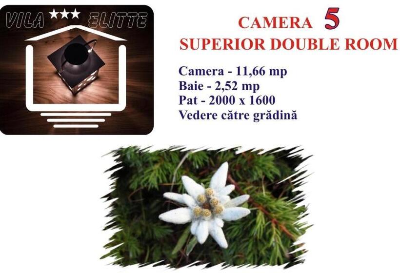 标准间, Villa Elitte Predeal