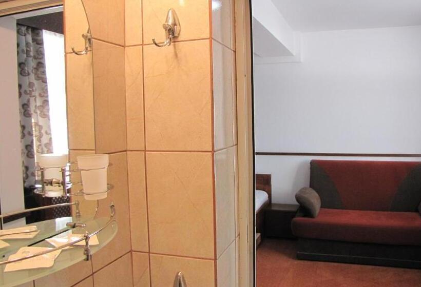 غرفة سوبيريور, Villa Elitte Predeal