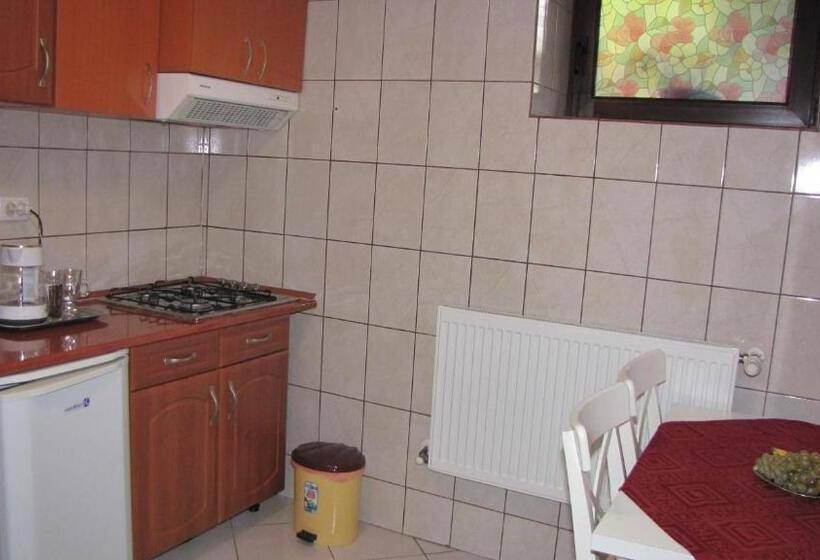 חדר סופריור, Villa Elitte Predeal