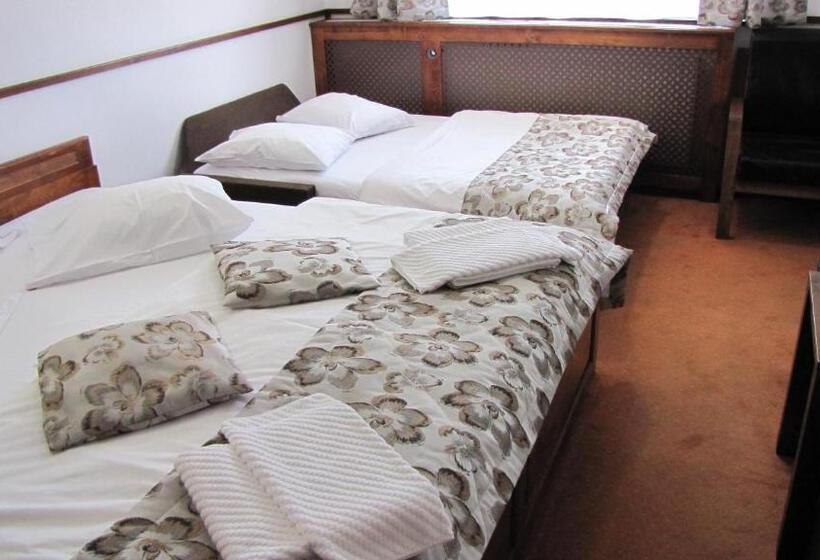 Номер Superior, Villa Elitte Predeal