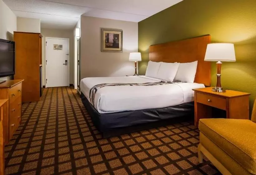 Standard-huone King-vuode, Best Western Plus Chicago Hillside