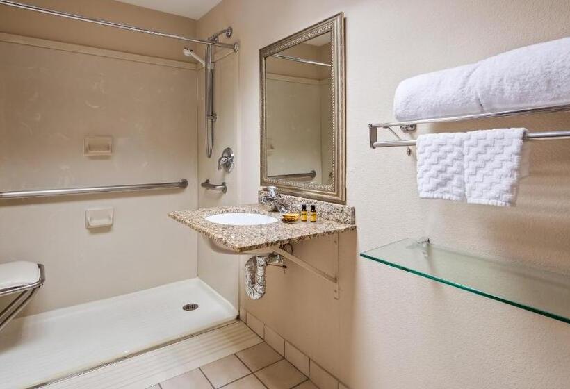 身障者適用キングサイズベッドルーム, Best Western Plus Chicago Hillside