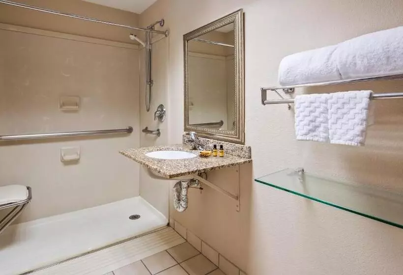 Standard-huone, Best Western Plus Chicago Hillside