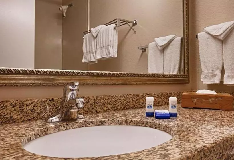 Standard-huone 2 Parivuodetta, Best Western Plus Chicago Hillside