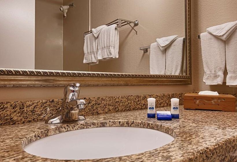 ２ダブルベッドのスタンダードルーム, Best Western Plus Chicago Hillside