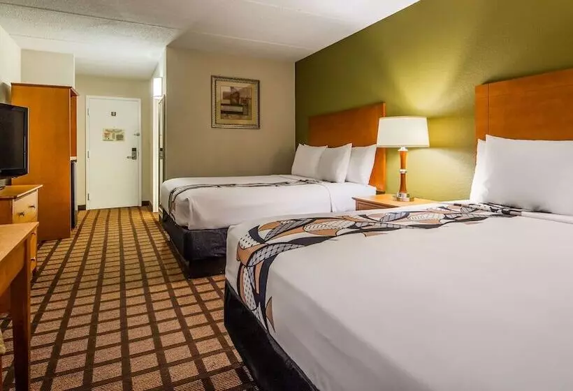 Standard-huone 2 Parivuodetta, Best Western Plus Chicago Hillside