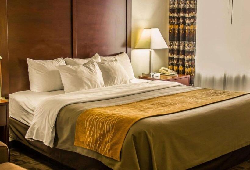 キングサイズベッドのスタンダードルーム, Comfort Inn