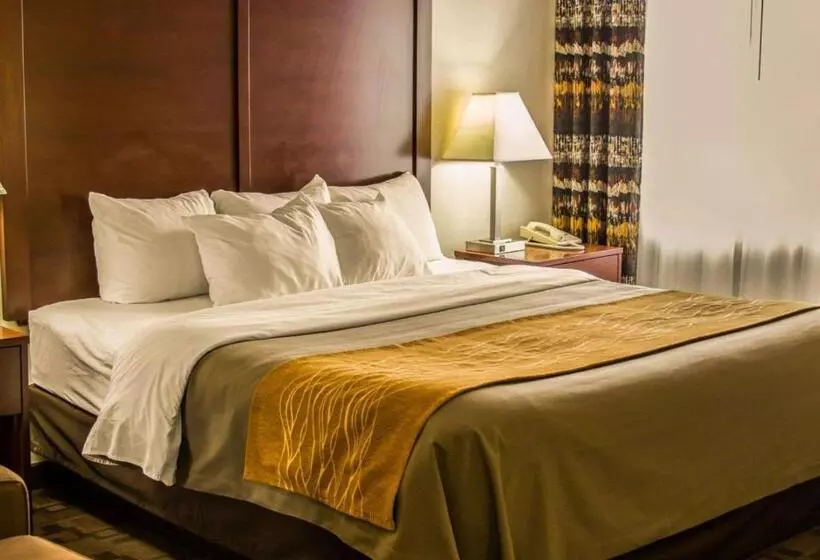 キングサイズベッドのスタンダードルーム, Comfort Inn