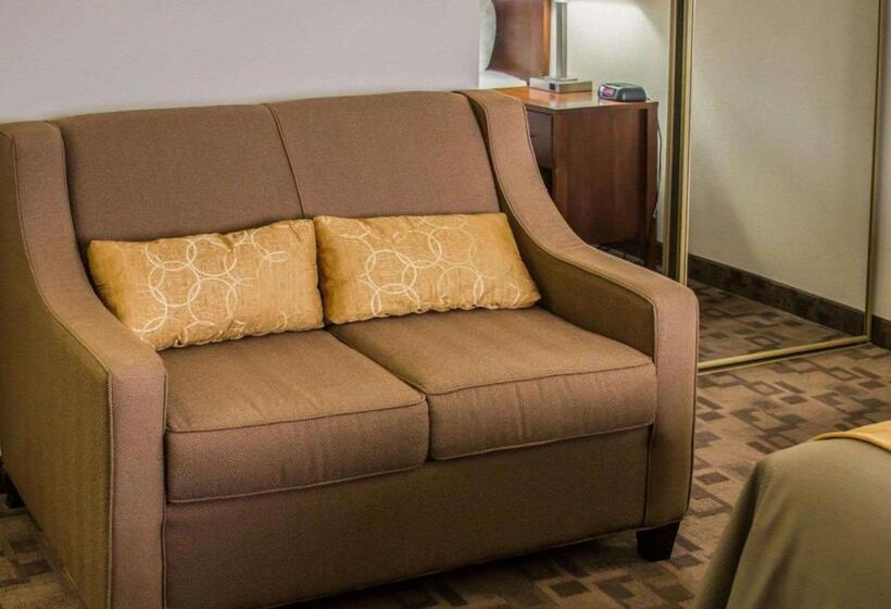 스탠다드 룸 킹사이즈 침대, Comfort Inn