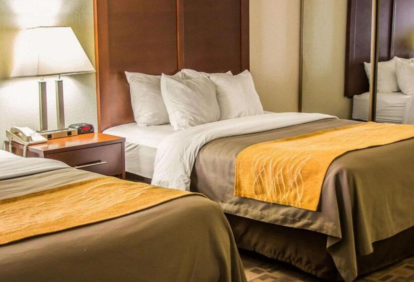 스탠다드 룸, Comfort Inn