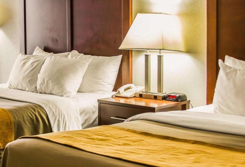 غرفة قياسية, Comfort Inn